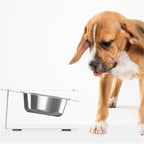 Bandit Tilt Feeder Bowl — Anti-Spill Elevated Stainless Steel Dog Bowl