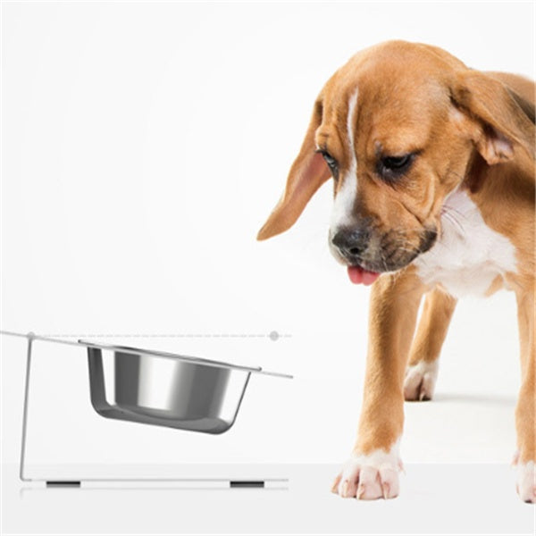 Bandit Tilt Feeder Bowl — Anti-Spill Elevated Stainless Steel Dog Bowl