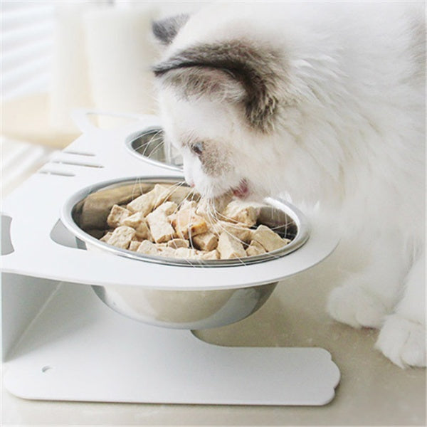 Bandit Tilt Feeder Bowl — Anti-Spill Elevated Stainless Steel Dog Bowl