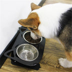 Bandit Tilt Feeder Bowl — Anti-Spill Elevated Stainless Steel Dog Bowl