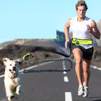 Bandit RunPack Leash — Hands-Free Running Belt with Bungee & Waist Pocket
