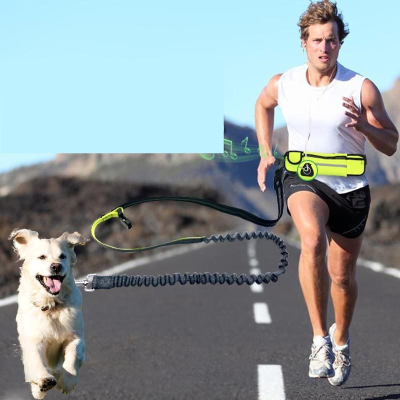 Bandit RunPack Leash — Hands-Free Running Belt with Bungee & Waist Pocket