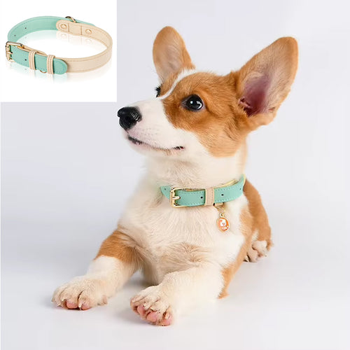 Bandit Heritage Leather Collar — Classic Adjustable Dog Collar