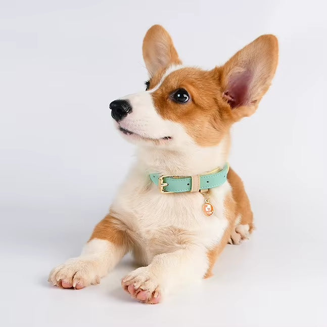 Bandit Heritage Leather Collar — Classic Adjustable Dog Collar