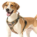 Bandit Tactical Dog Harness — No-Pull Adjustable Vest for Large Dogs