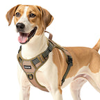 Bandit Tactical Dog Harness — No-Pull Adjustable Vest for Large Dogs