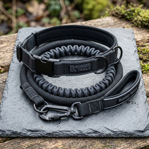 Hands-Free Running Leash — Built for Active Pet Parents