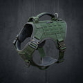 Trail Blazer No-Pull Dog Harness — Secure & Comfortable